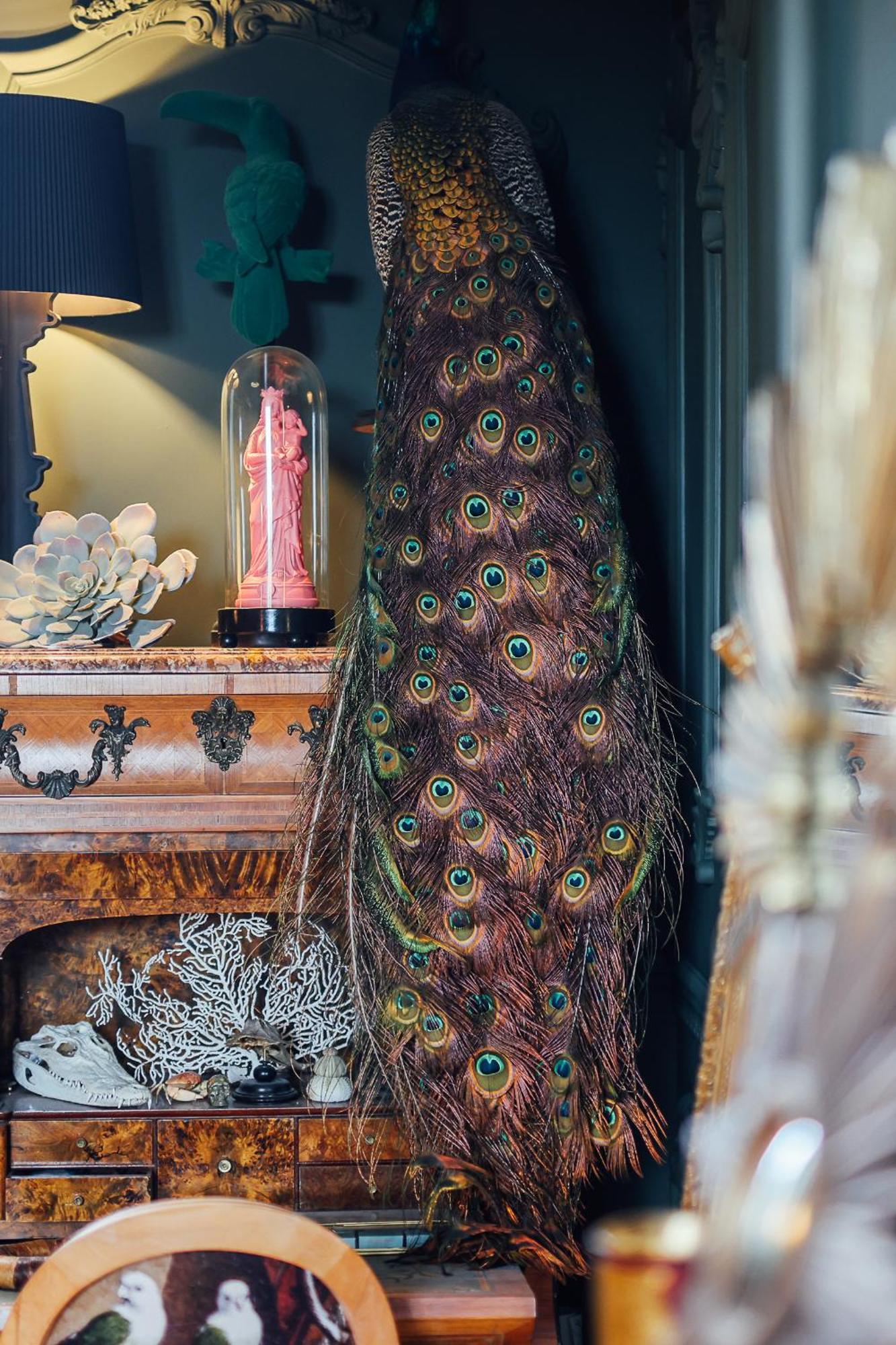 Malouiniere Guillaume Onffroy Bed & Breakfast แซ็งต์มาโล ภายนอก รูปภาพ